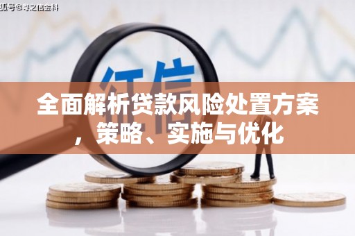 美溪全面解析贷款风险处置方案，策略、实施与优化