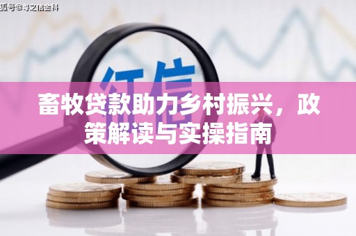 美溪畜牧贷款助力乡村振兴，政策解读与实操指南