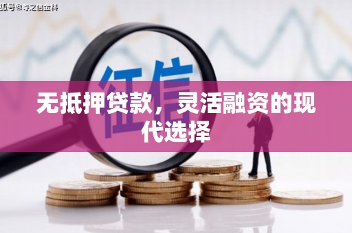 美溪无抵押贷款，灵活融资的现代选择