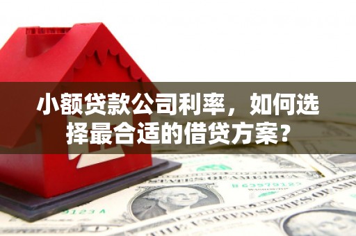 美溪小额贷款公司利率，如何选择最合适的借贷方案？