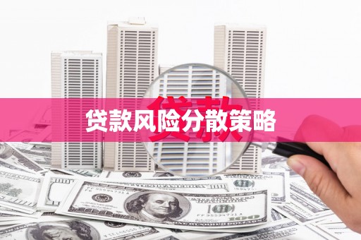 美溪贷款风险分散策略
