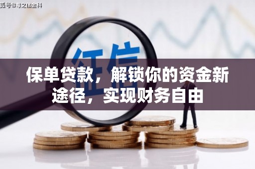 美溪保单贷款，解锁你的资金新途径，实现财务自由