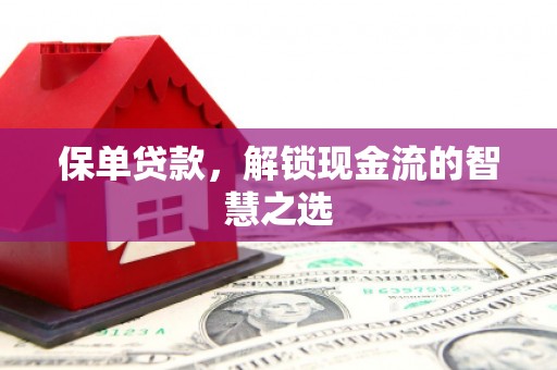 美溪保单贷款，解锁现金流的智慧之选