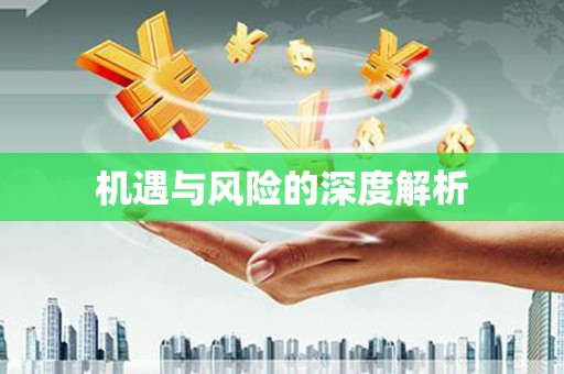 美溪机遇与风险的深度解析