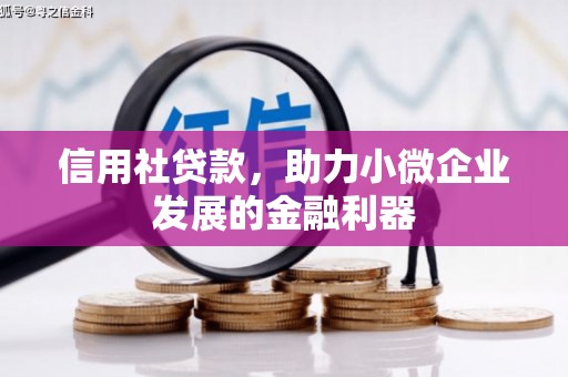 美溪信用社贷款，助力小微企业发展的金融利器