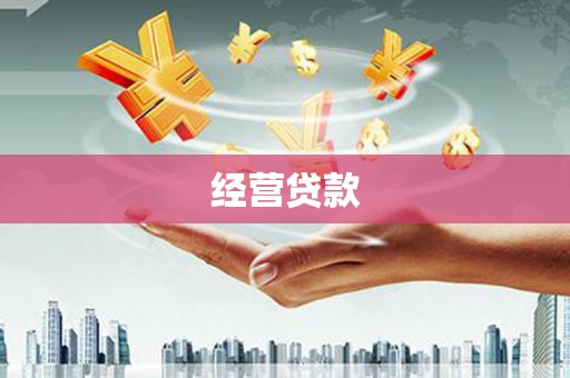 美溪经营贷款