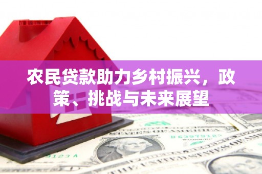 美溪农民贷款助力乡村振兴，政策、挑战与未来展望