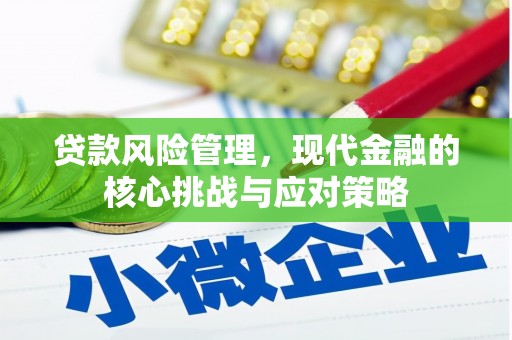 美溪贷款风险管理，现代金融的核心挑战与应对策略