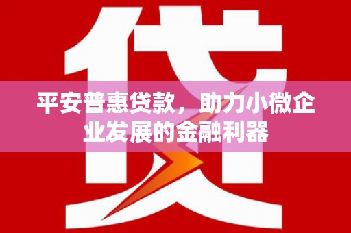 美溪平安普惠贷款，助力小微企业发展的金融利器