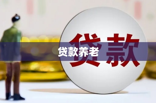 美溪贷款养老