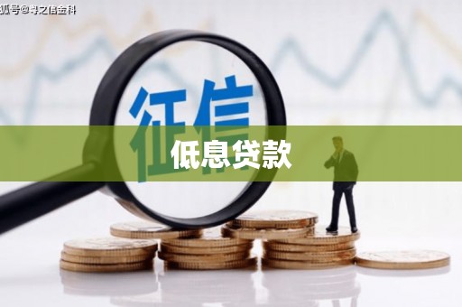 美溪低息贷款