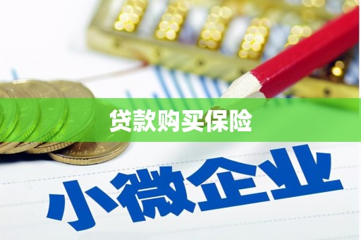 美溪贷款购买保险