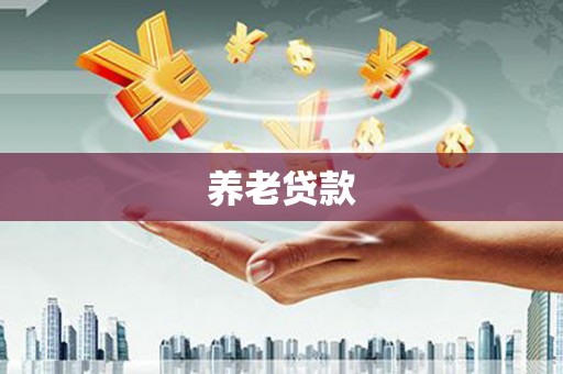 美溪养老贷款