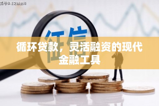 美溪循环贷款，灵活融资的现代金融工具