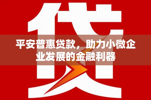 美溪平安普惠贷款，助力小微企业发展的金融利器