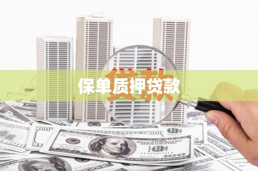 美溪保单质押贷款