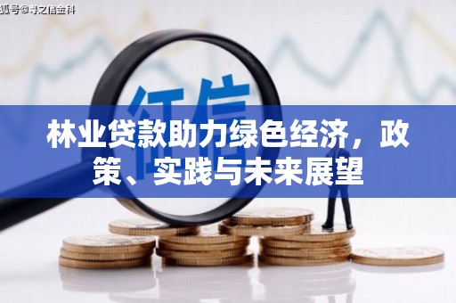 美溪林业贷款助力绿色经济，政策、实践与未来展望