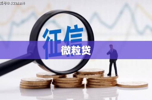 美溪微粒贷