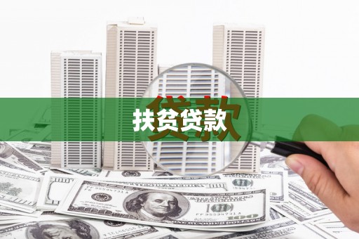 美溪扶贫贷款