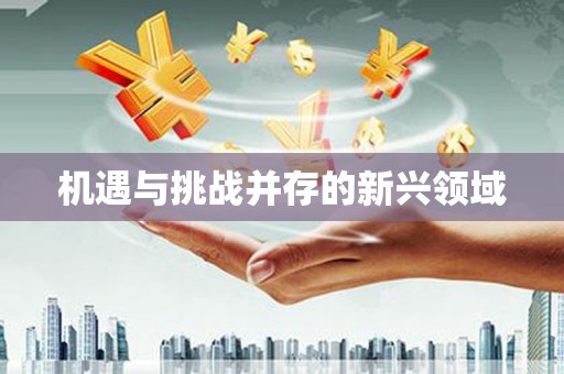 美溪机遇与挑战并存的新兴领域