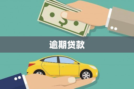 美溪逾期贷款