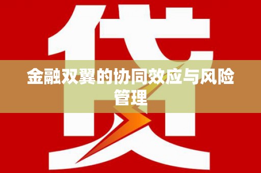 美溪金融双翼的协同效应与风险管理