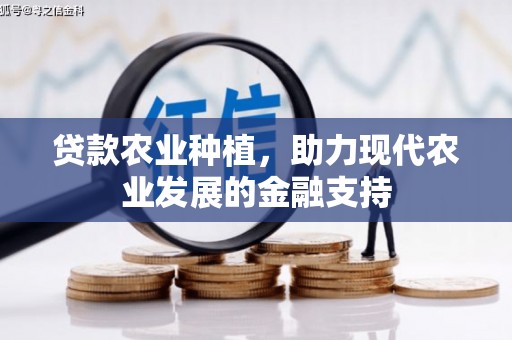 美溪贷款农业种植，助力现代农业发展的金融支持