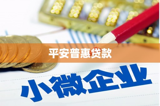 美溪平安普惠贷款